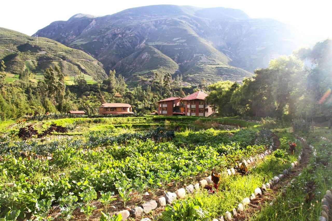 Fleur Lodge Carhuaz المظهر الخارجي الصورة
