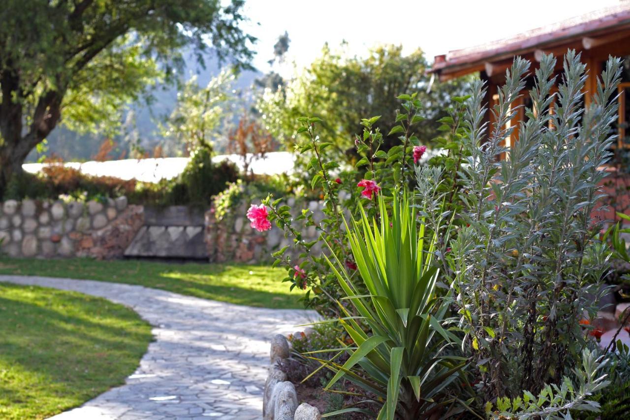 Fleur Lodge Carhuaz المظهر الخارجي الصورة